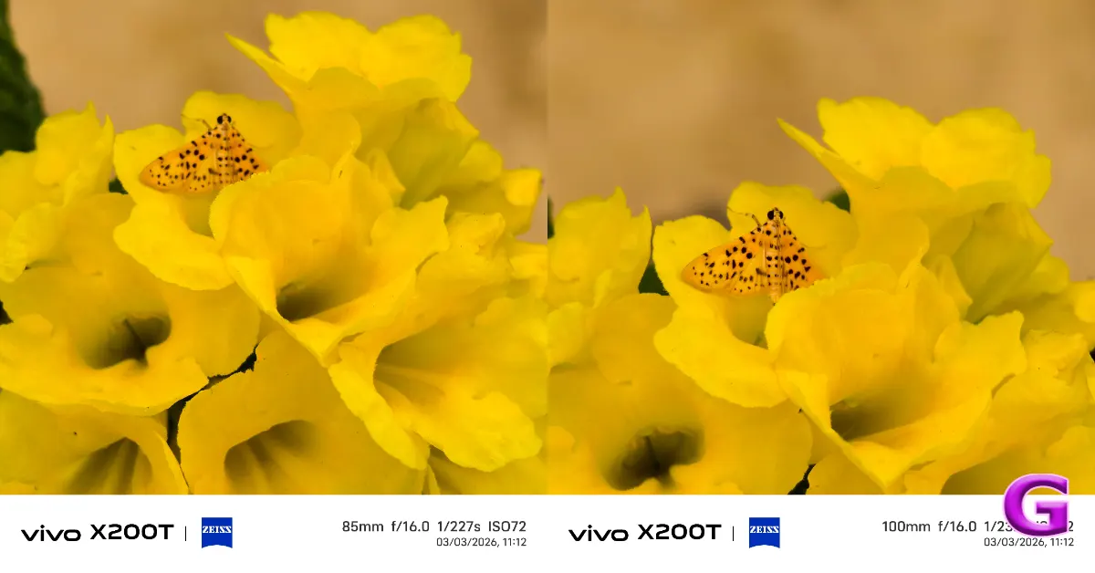 Vivo X200T performance