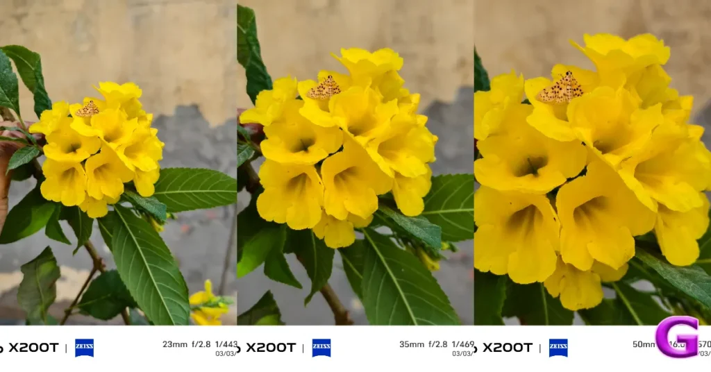 Vivo X200T performance