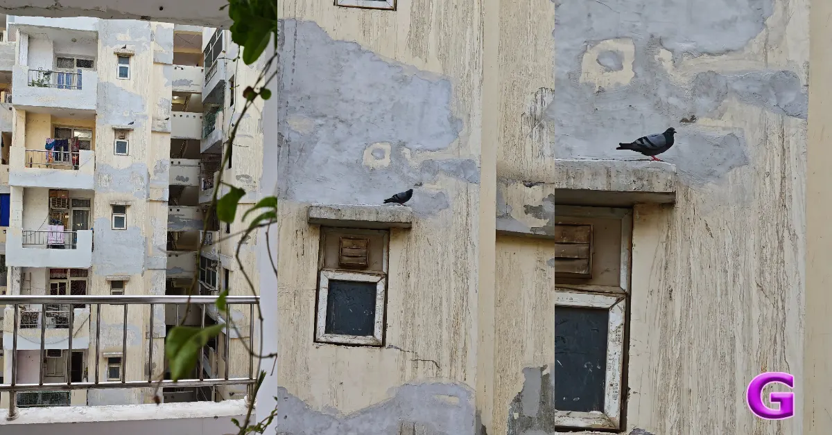 Xiaomi 17 review India