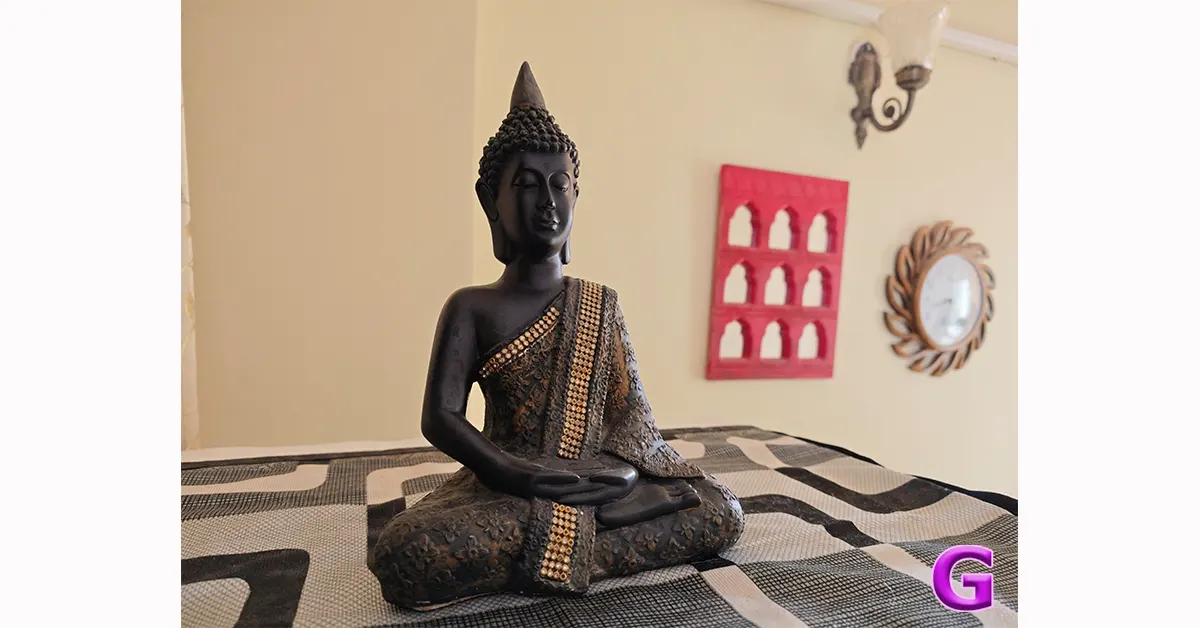 Xiaomi 17 review India