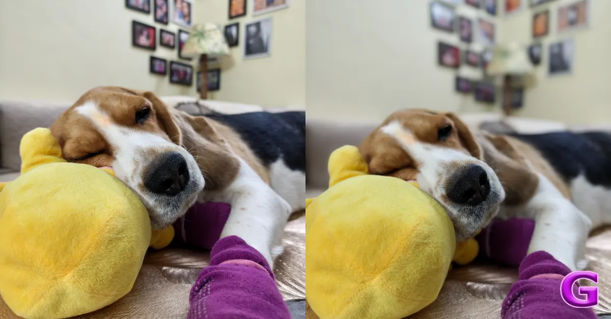 Xiaomi 17 review India