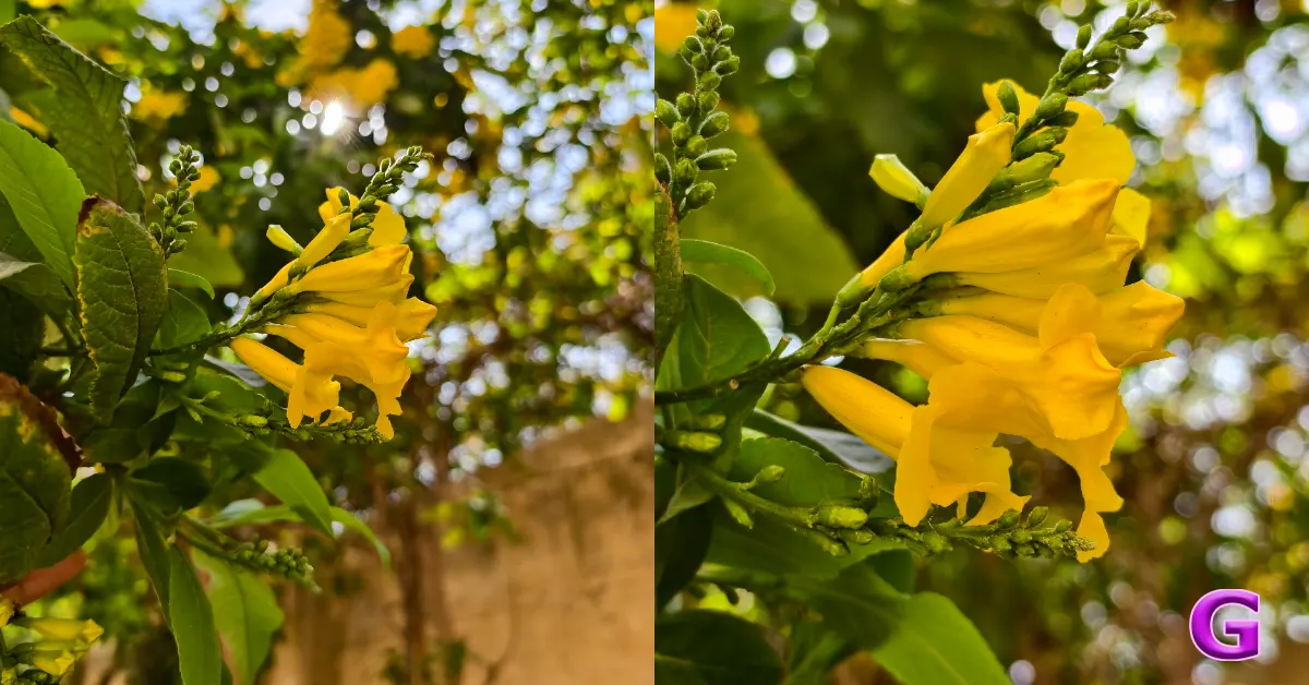 Vivo X200T performance