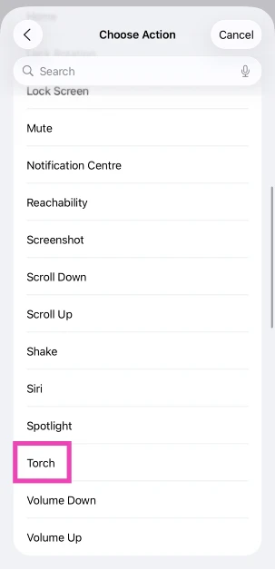 Step 5: Scroll down and select Torch. How to turn on the flashlight on iPhone without unlocking it: 4 best ways