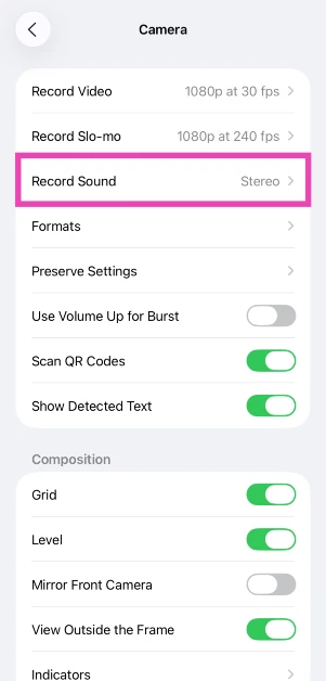 Tap on Record Sound. How to Disable Audio Zoom on iPhone