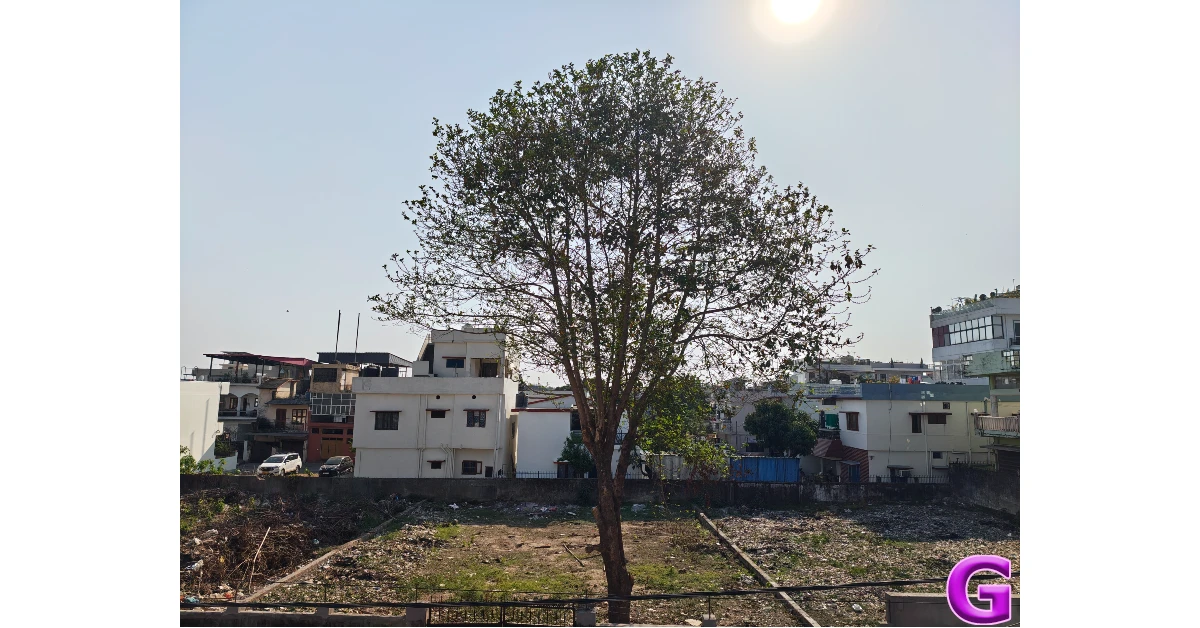 Motorola Signature Review: Performance and Cameras