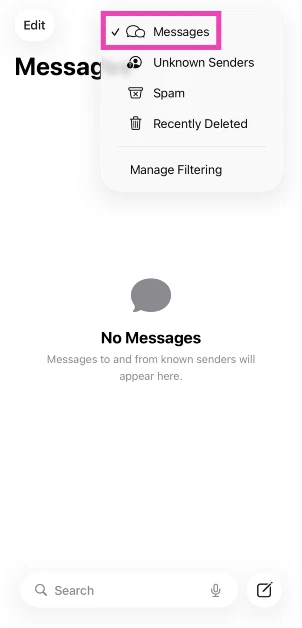 Step 2: Tap on Messages to view the messages that may have got stuck in a filter.