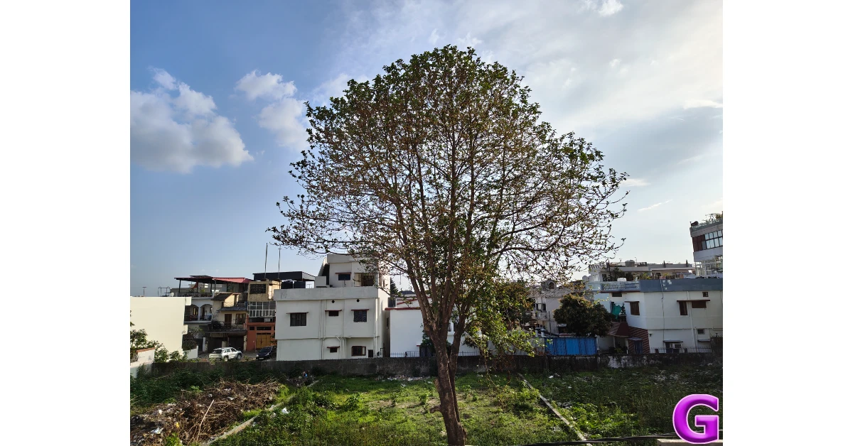 Nothing Phone (4a) Review: Performance and Cameras