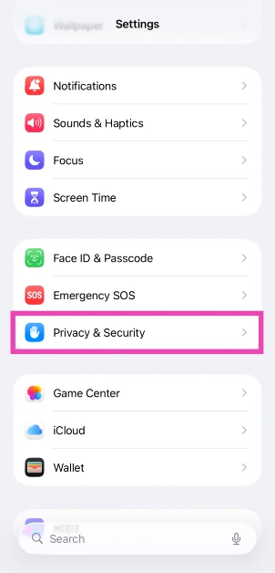 Tap on Privacy & Security.