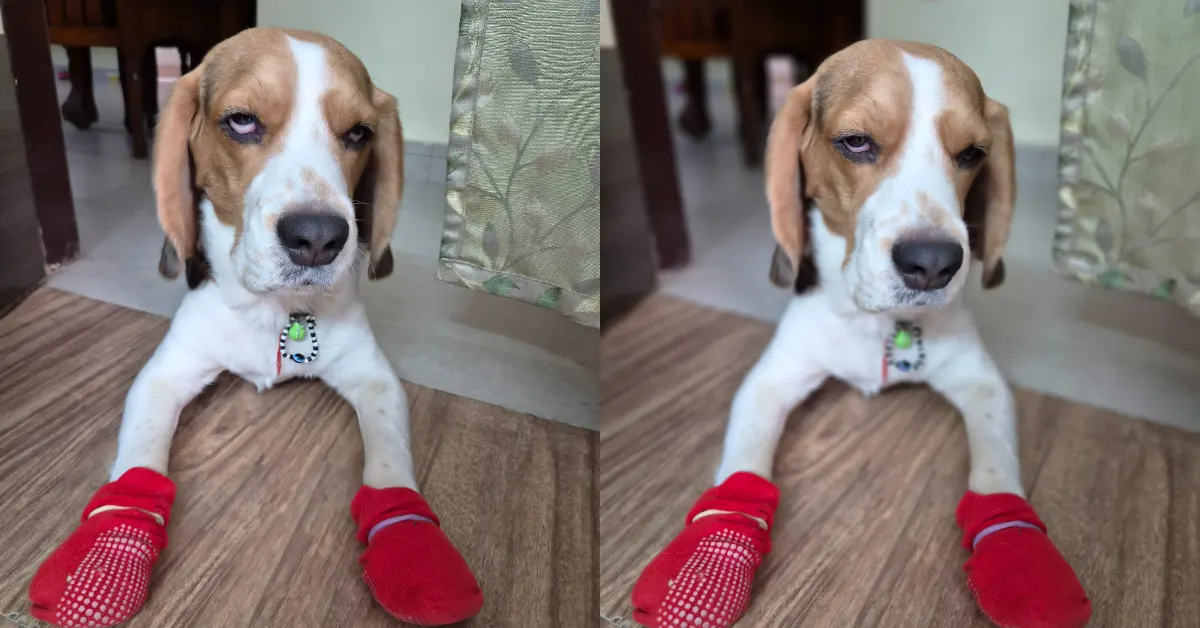 Samsung Galaxy S26 Plus