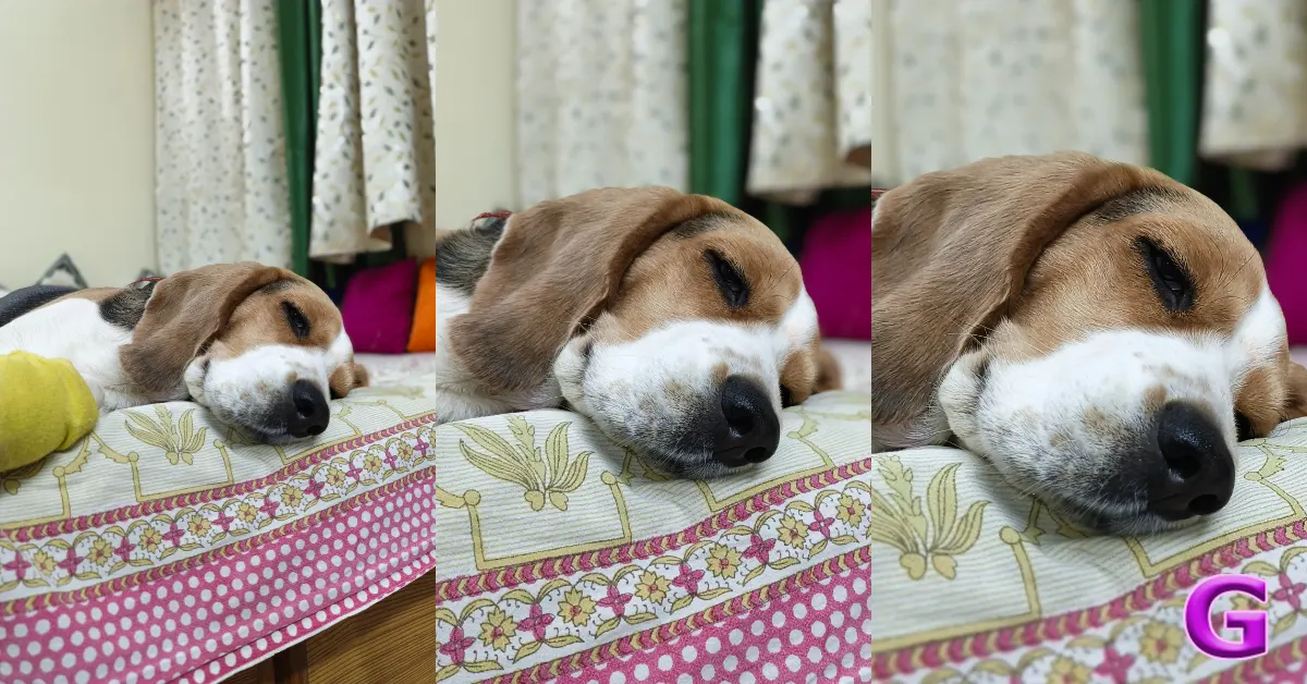 Infinix Note Edge 5G performance