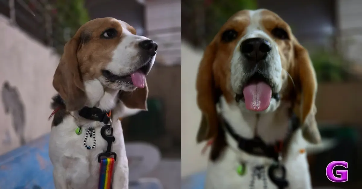 Samsung Galaxy S26 Plus