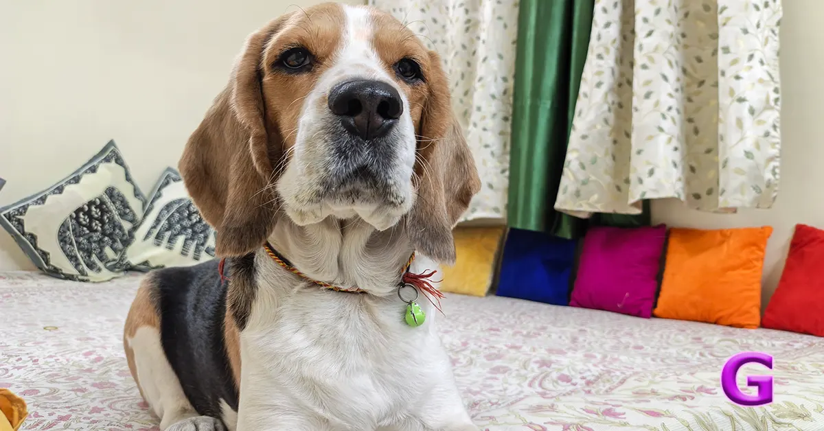 Infinix Note Edge 5G performance