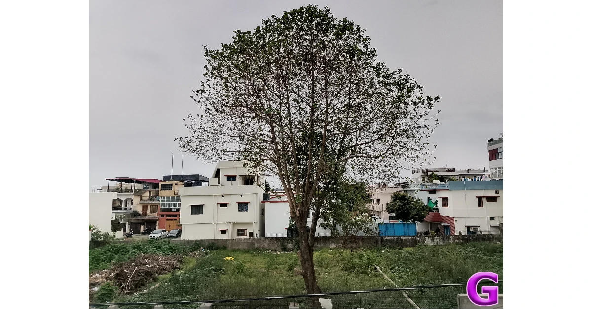 Ai+ Pulse 2 Review: Performance and Cameras