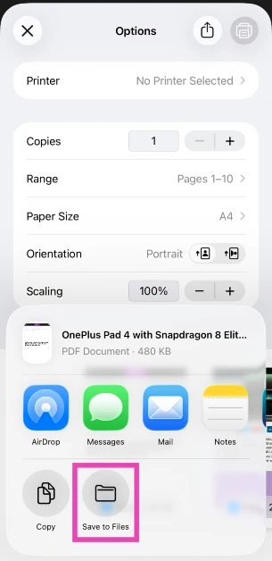 Step 7: Tap on Save to Files.