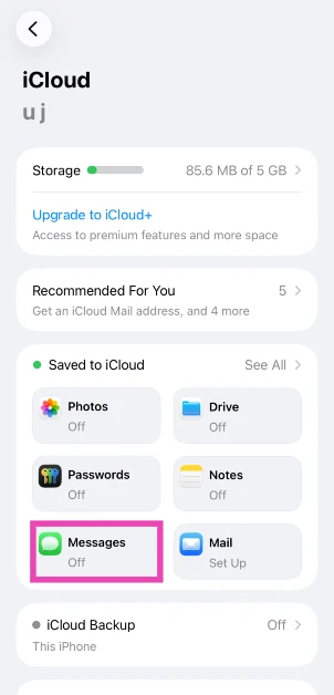 Step 3: Tap on Messages.