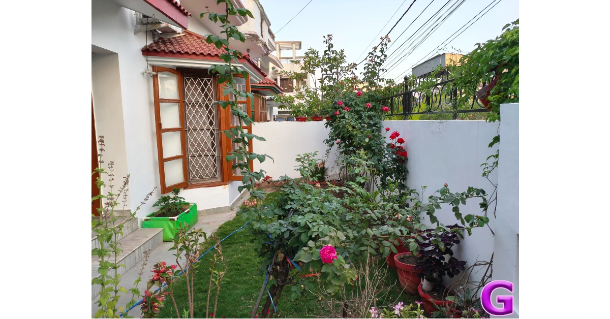 Infinix Note 60 Pro Review: Performance and Cameras