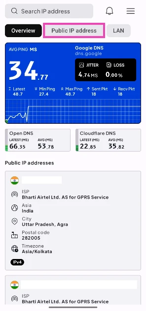 Step 2: Launch the app and switch to the Public IP Address tab.