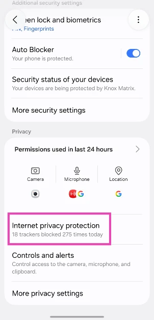 Step 2: Scroll down and tap on Internet privacy protection.