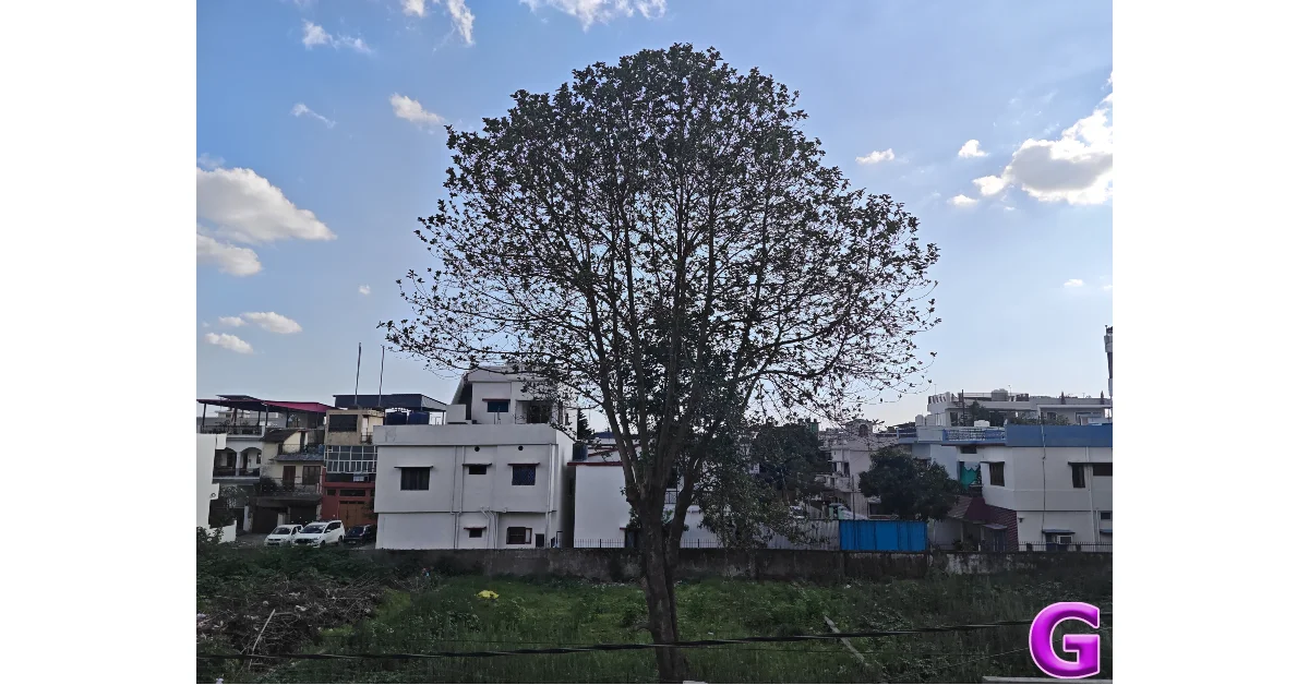 Xiaomi Pad 8 Review: Performance and Cameras