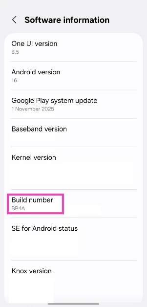 Step 2: Go to Developer Options.