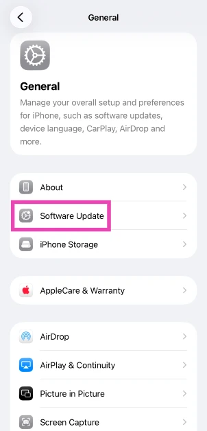 Select Software Update.