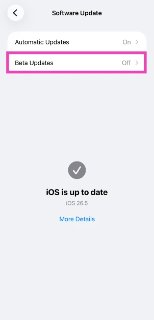 Tap on Beta Updates.