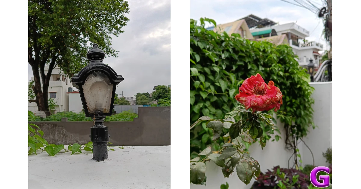 portraits OnePlus N6 Review: Gets the basics right