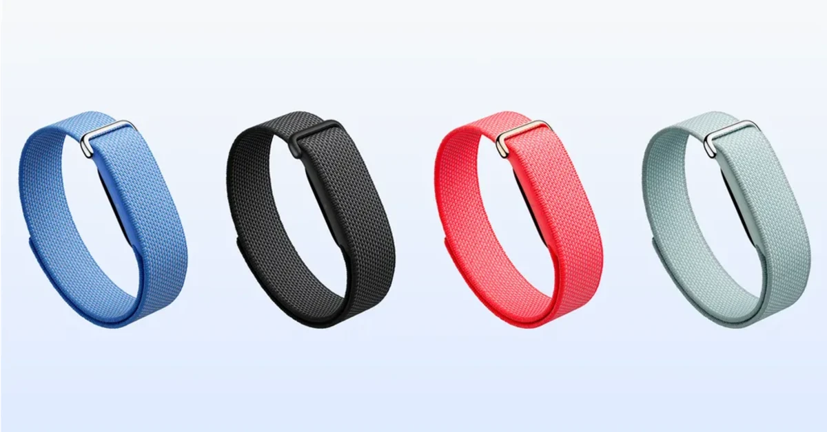 Google Fitbit Air
