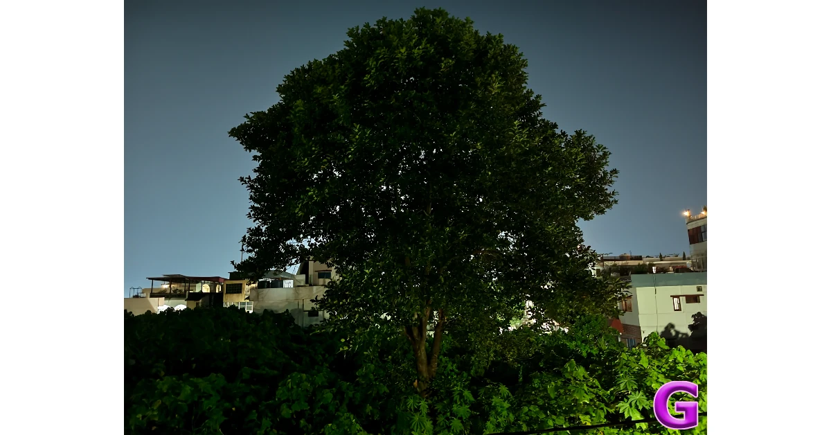 night mode