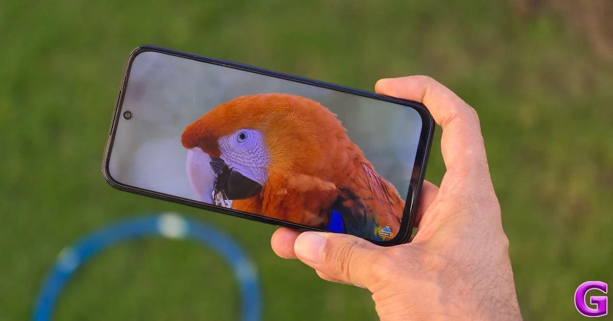 display